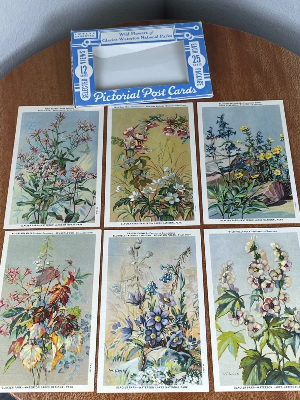 Vintage Pack of Postcards Glacier-Waterton National Parks Floral Set of 12